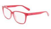 Selecteer om een bril te kopen of de foto te vergroten, Calvin Klein Jeans CKJ22619-620.