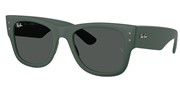 Selecteer om een bril te kopen of de foto te vergroten, Ray Ban 0RB4840S-665787.