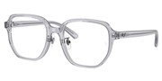 Selecteer om een bril te kopen of de foto te vergroten, Ray Ban 0RX5424D-8415.