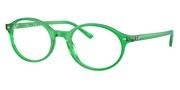 Selecteer om een bril te kopen of de foto te vergroten, Ray Ban 0RX5429-8441.