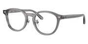 Selecteer om een bril te kopen of de foto te vergroten, Ray Ban 0RX5443D-8268.