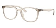 Selecteer om een bril te kopen of de foto te vergroten, Ray Ban 0RX7093D-8271.