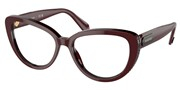 Selecteer om een bril te kopen of de foto te vergroten, Swarovski Eyewear 0SK2014-1019.