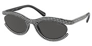 Swarovski Eyewear 0SK6006-100187