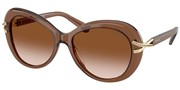 Swarovski Eyewear 0SK6026-106713