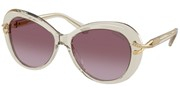 Swarovski Eyewear 0SK6026-30038H